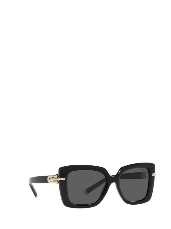 26FW 티파니앤코 선글라스 TF4199 8001S4 BLACK - TIFFANY & CO