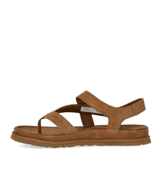 26SS 어그 샌들 1175134 CHE 36 Brown - UGG