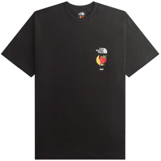 26SS 노스페이스 탑 NF0A8HHPJK3