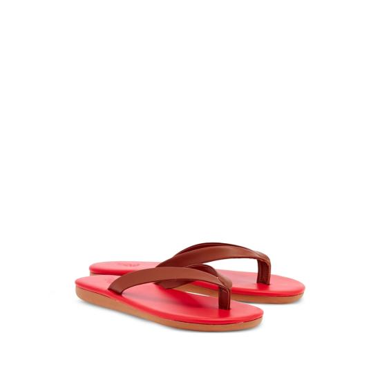 26SS 에이션트 그릭 뮬/슬리퍼 SAIONARA NAPPA CORED BROWN RED - ANCIENT GREEK