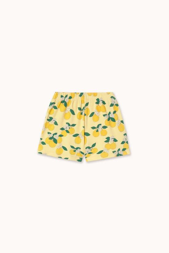  [키즈] 타이니코튼 쇼츠/버뮤다 아동용 오렌지 골지 반바지 - TINYCOTTONS