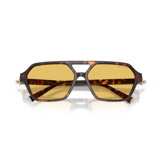 26SS 티파니앤코 선글라스 기하학적 무늬의 호피무늬  (호박색 렌즈)