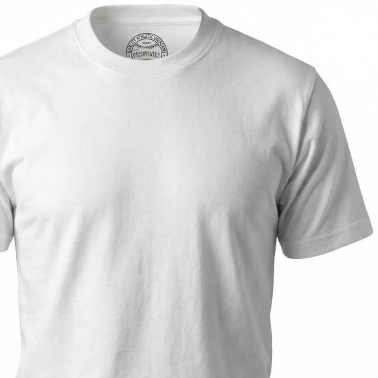 26SS CHESAPEAKE'S 반팔 티셔츠 706 OFF - OTHER BRANDS