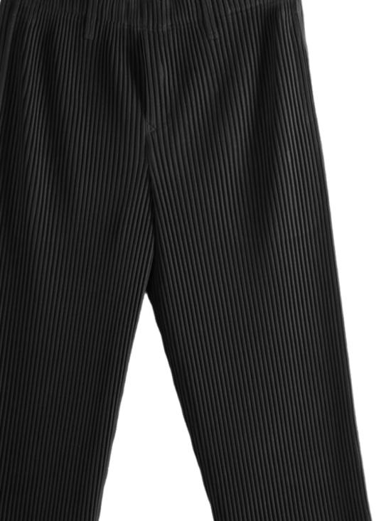 26SS 이세이 미야케 숏팬츠 HP66JF158 Black - ISSEY MIYAKE