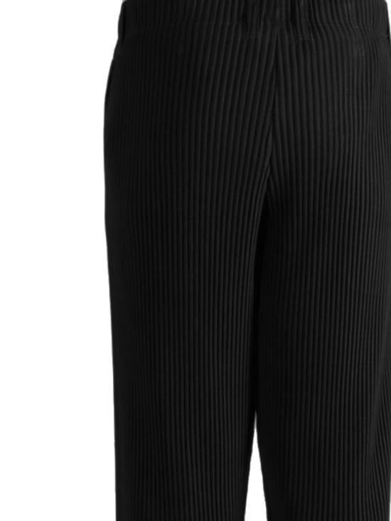 26SS 이세이 미야케 숏팬츠 HP66JF158 Black - ISSEY MIYAKE