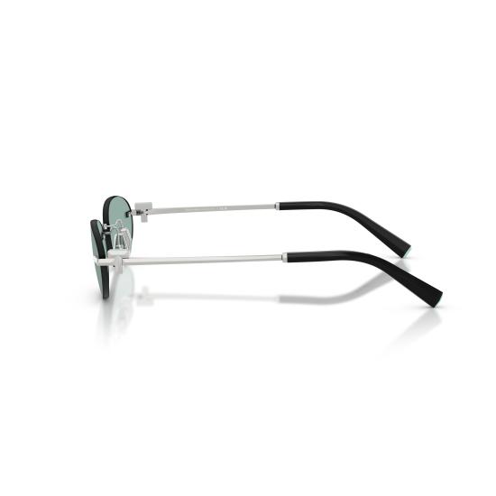 26SS 티파니앤코 선글라스 0TF3119D 600165 - TIFFANY & CO