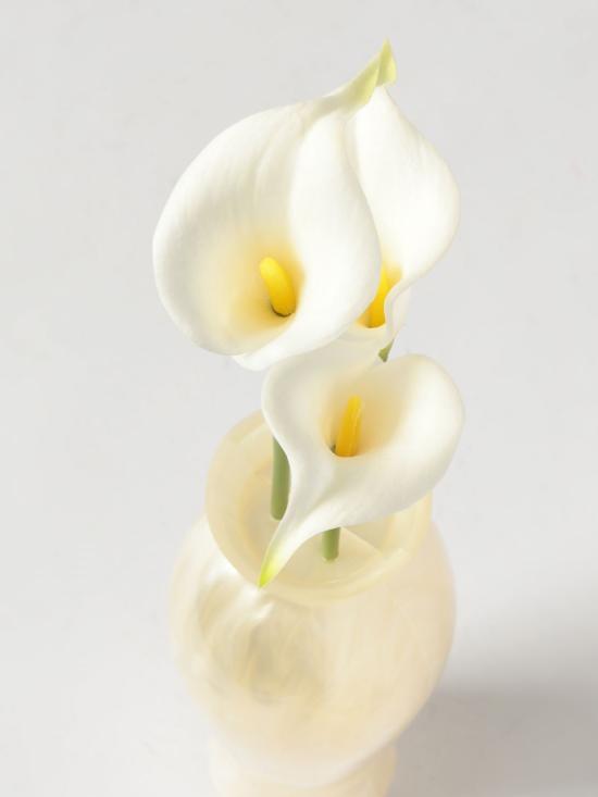 26SS 컬트 가이아 클러치/파우치 CL1445AC3063 IVY Ivory - CULT GAIA