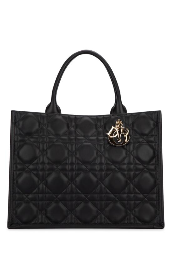 26SS 디올 크로스백 M1324OWHP 900 BLACK