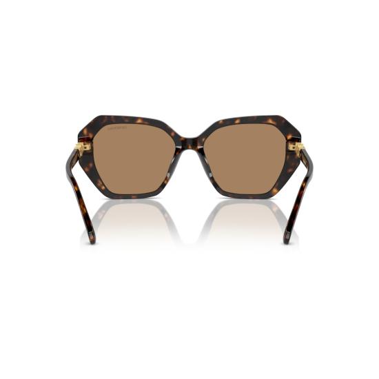 26SS 스와로브스키 선글라스 0Sk6017 오버사이즈 기하학적 호피무늬  (크리스탈 장식) - SWAROVSKI