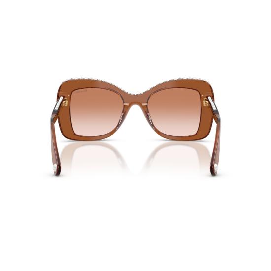 26SS 스와로브스키 선글라스 0Sk6062u 반투명 브라운 아세테이트  (크리스탈 장식) - SWAROVSKI