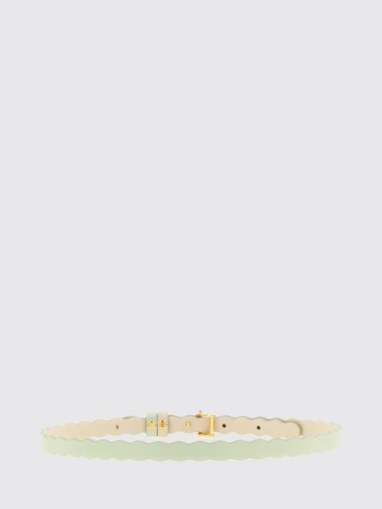 26SS 펜디 레귤러 벨트 8C0767B00E F1WLN Multicolor - FENDI