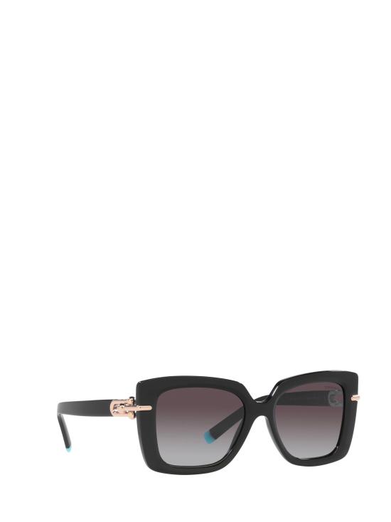26FW 티파니앤코 선글라스 TF4199 80013C BLACK - TIFFANY & CO