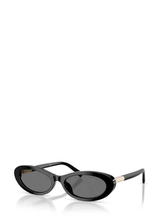 26FW 티파니앤코 선글라스 TF4250 8001S4 BLACK - TIFFANY & CO