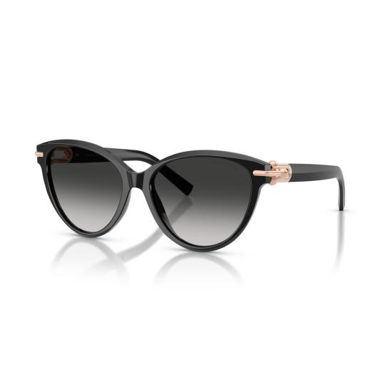 26SS 티파니앤코 선글라스 0Tf4261 캣아이 - TIFFANY & CO
