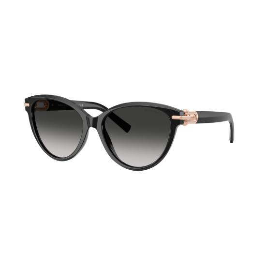 26SS 티파니앤코 선글라스 0Tf4261 캣아이 - TIFFANY & CO
