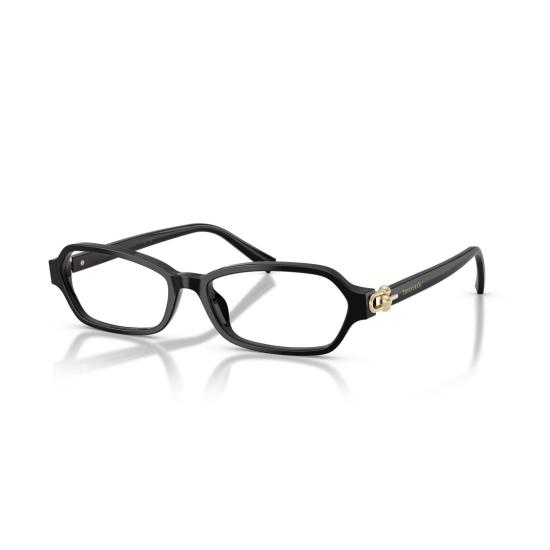 26SS 티파니앤코 선글라스 0Tf2293u 직사각형 검정색 아세테이트 안경 - TIFFANY & CO