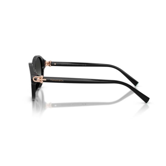 26SS 티파니앤코 선글라스 0Tf4263d 둥근 블랙 아세테이트 - TIFFANY & CO