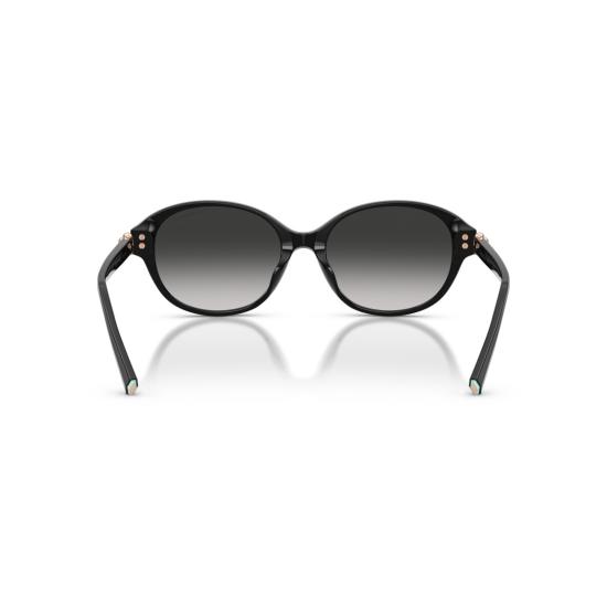 26SS 티파니앤코 선글라스 0Tf4263d 둥근 블랙 아세테이트 - TIFFANY & CO