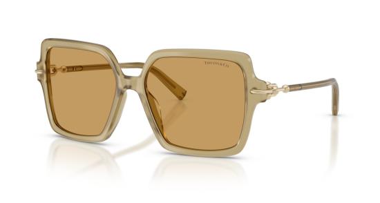 26SS 티파니앤코 선글라스 0Tf4260u 반투명 베이지 아세테이트 - TIFFANY & CO