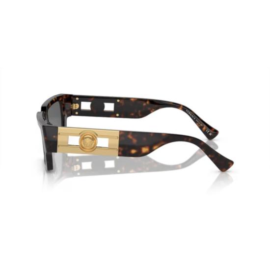 26SS 베르사체 선글라스 0Ve4459 호피무늬 아세테이트 - VERSACE