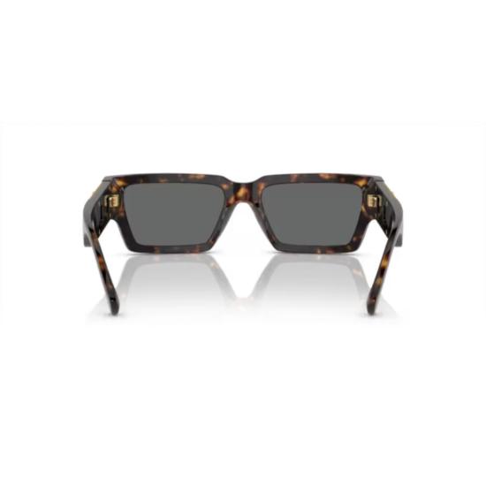 26SS 베르사체 선글라스 0Ve4459 호피무늬 아세테이트 - VERSACE