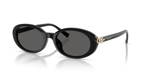 26SS 티파니앤코 선글라스 0Tf4242d 대형 원형 블랙 아세테이트 - TIFFANY & CO