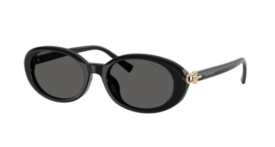 26SS 티파니앤코 선글라스 0Tf4242d 대형 원형 블랙 아세테이트 - TIFFANY & CO