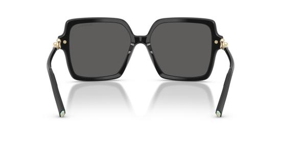 26SS 티파니앤코 선글라스 0Tf4260u 오버사이즈 스퀘어 블랙 - TIFFANY & CO