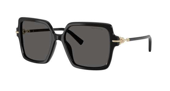 26SS 티파니앤코 선글라스 0Tf4260u 오버사이즈 스퀘어 블랙 - TIFFANY & CO