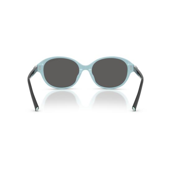 26SS 티파니앤코 선글라스 0Tf4263d 타원형 블랙 프레임 - TIFFANY & CO