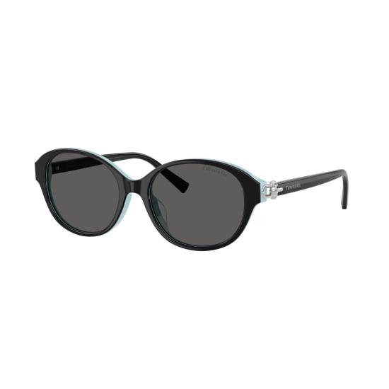 26SS 티파니앤코 선글라스 0Tf4263d 타원형 블랙 프레임 - TIFFANY & CO