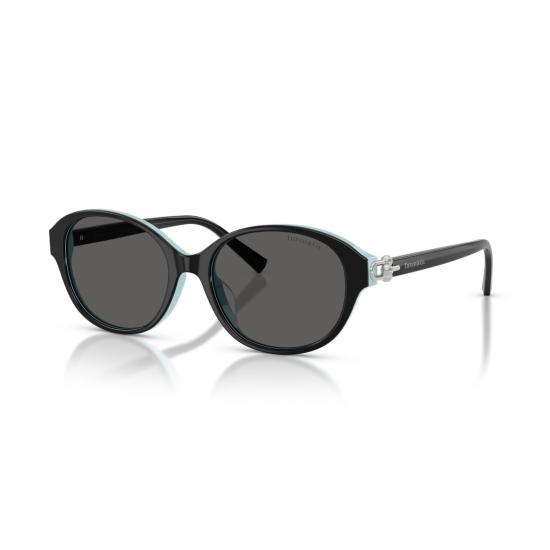 26SS 티파니앤코 선글라스 0Tf4263d 타원형 블랙 프레임 - TIFFANY & CO