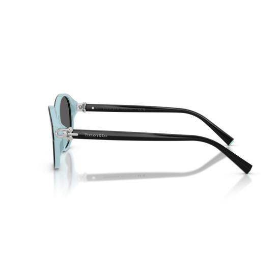 26SS 티파니앤코 선글라스 0Tf4263d 타원형 블랙 프레임 - TIFFANY & CO