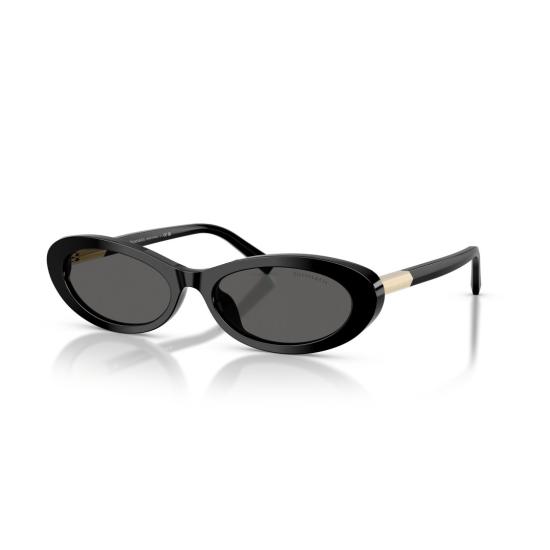 26SS 티파니앤코 선글라스 0Tf4250 길쭉한 타원형 - TIFFANY & CO