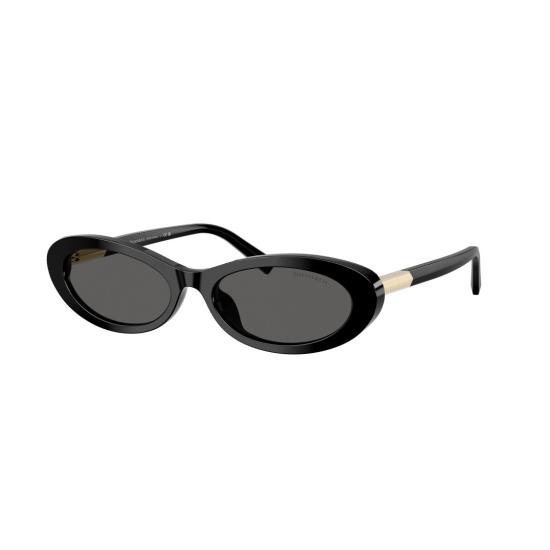 26SS 티파니앤코 선글라스 0Tf4250 길쭉한 타원형 - TIFFANY & CO