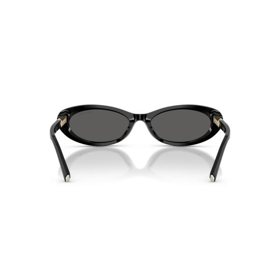 26SS 티파니앤코 선글라스 0Tf4250 길쭉한 타원형 - TIFFANY & CO