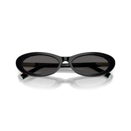 26SS 티파니앤코 선글라스 0Tf4250 길쭉한 타원형 - TIFFANY & CO