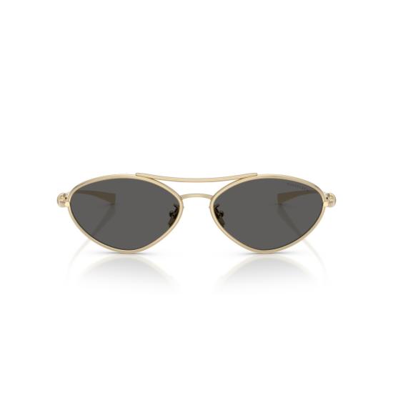 26SS 티파니앤코 선글라스 0Tf3117 타원형 - TIFFANY & CO