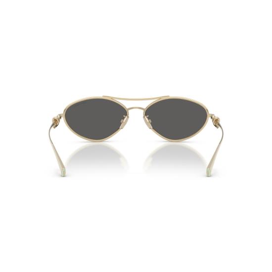 26SS 티파니앤코 선글라스 0Tf3117 타원형 - TIFFANY & CO