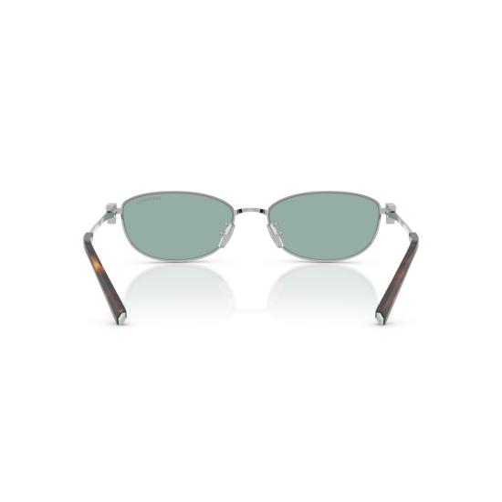 26SS 티파니앤코 선글라스 0Tf3115 타원형 스틸 - TIFFANY & CO