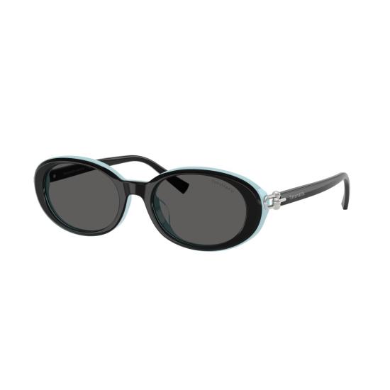 26SS 티파니앤코 선글라스 0Tf4242d 타원형 - TIFFANY & CO