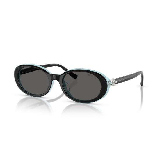 26SS 티파니앤코 선글라스 0Tf4242d 타원형 - TIFFANY & CO