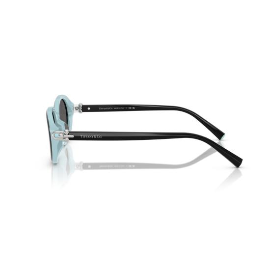 26SS 티파니앤코 선글라스 0Tf4242d 타원형 - TIFFANY & CO