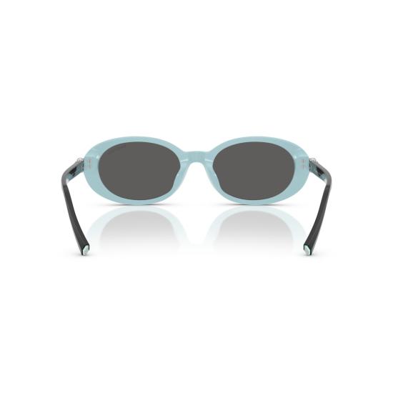 26SS 티파니앤코 선글라스 0Tf4242d 타원형 - TIFFANY & CO