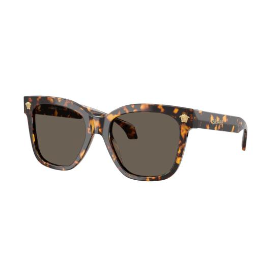 26SS 베르사체 선글라스 0Ve4511 오버사이즈 호피무늬 프레임 - VERSACE