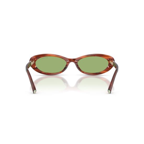 26SS 티파니앤코 선글라스 0Tf4250 호피무늬 아세테이트 - TIFFANY & CO