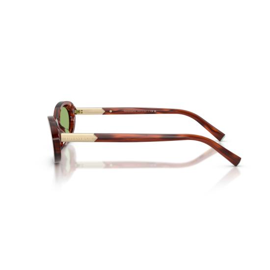 26SS 티파니앤코 선글라스 0Tf4250 호피무늬 아세테이트 - TIFFANY & CO