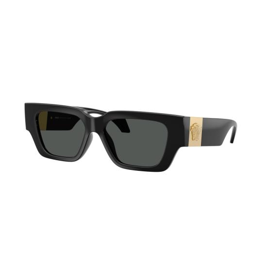 26SS 베르사체 선글라스 0Ve4497u 직사각형 - VERSACE