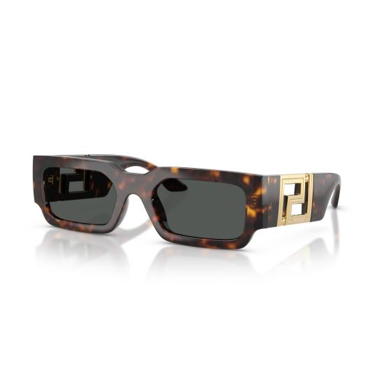 26SS 베르사체 선글라스 0Ve4506u 호피무늬 - VERSACE