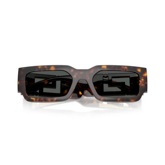 26SS 베르사체 선글라스 0Ve4506u 호피무늬 - VERSACE